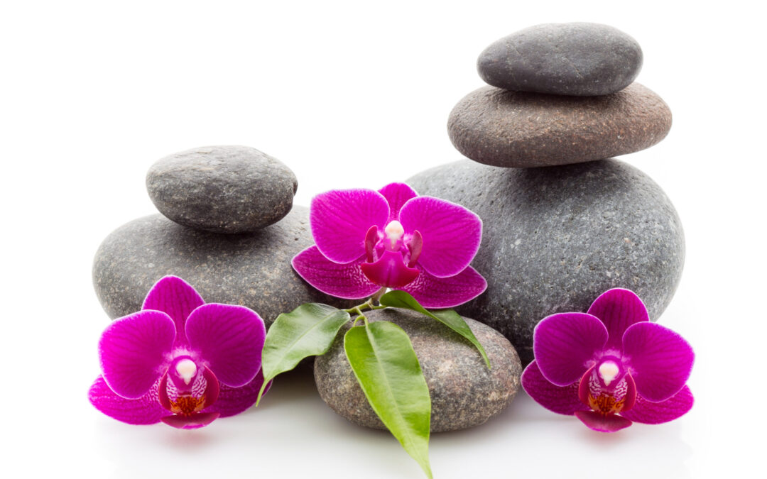 Modułowa grupa psychoterapeutyczna w Pracowni HUMANI