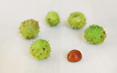 Terapia grupowa w Pracowni Psychoterapii HUMANI