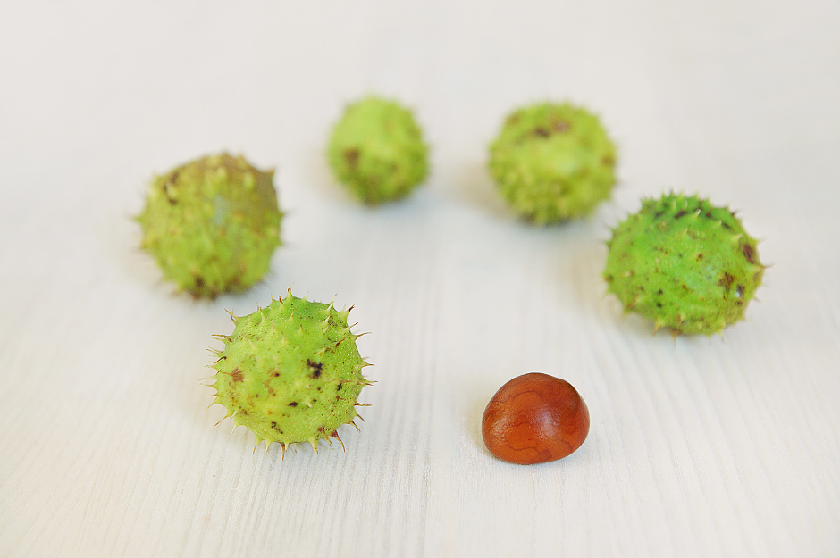 Terapia grupowa w Pracowni Psychoterapii HUMANI